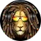 Torro Twitch